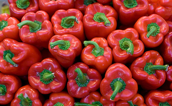 poivron rouge